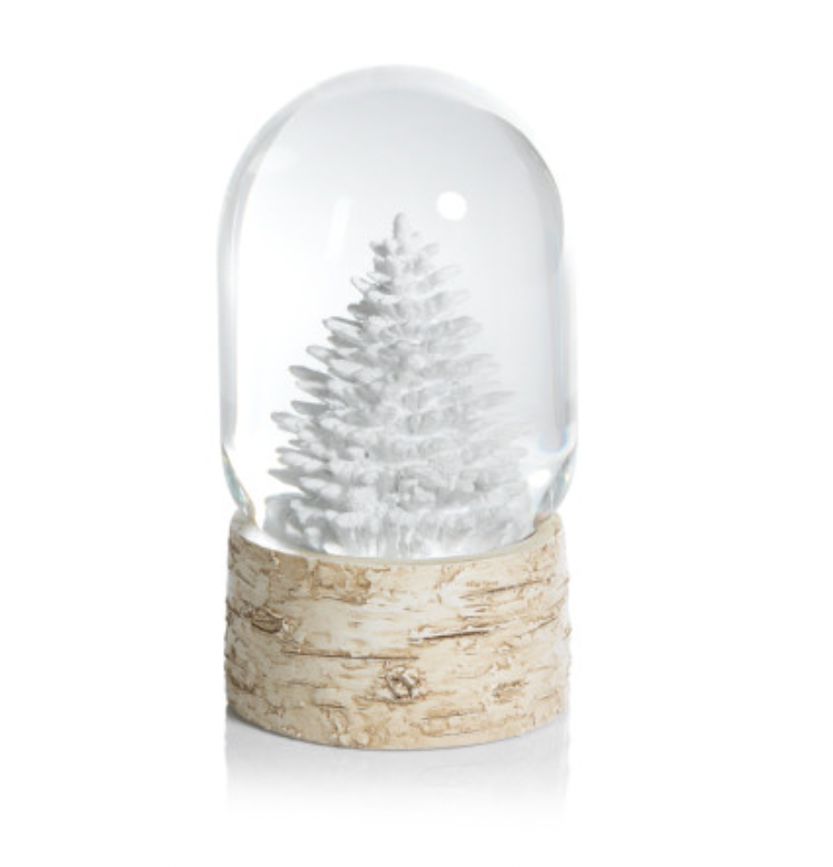 Snow Globe on Birch with Tree Home & Garden Vermont