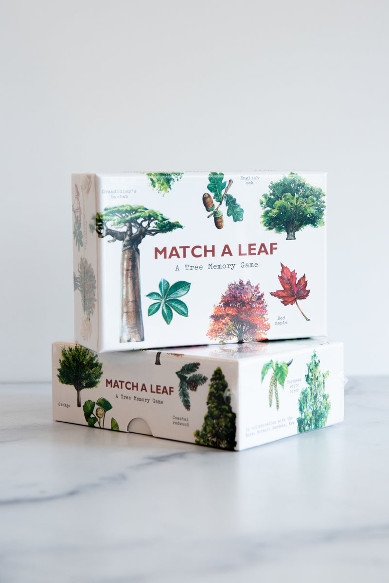 Match a Leaf: A Tree Memory Game – Home & Garden Vermont